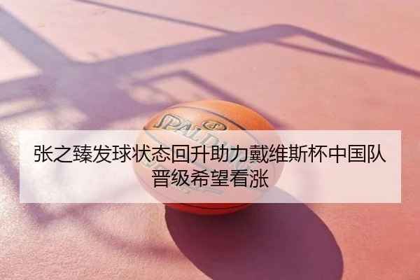 张之臻发球状态回升助力戴维斯杯中国队晋级希望看涨